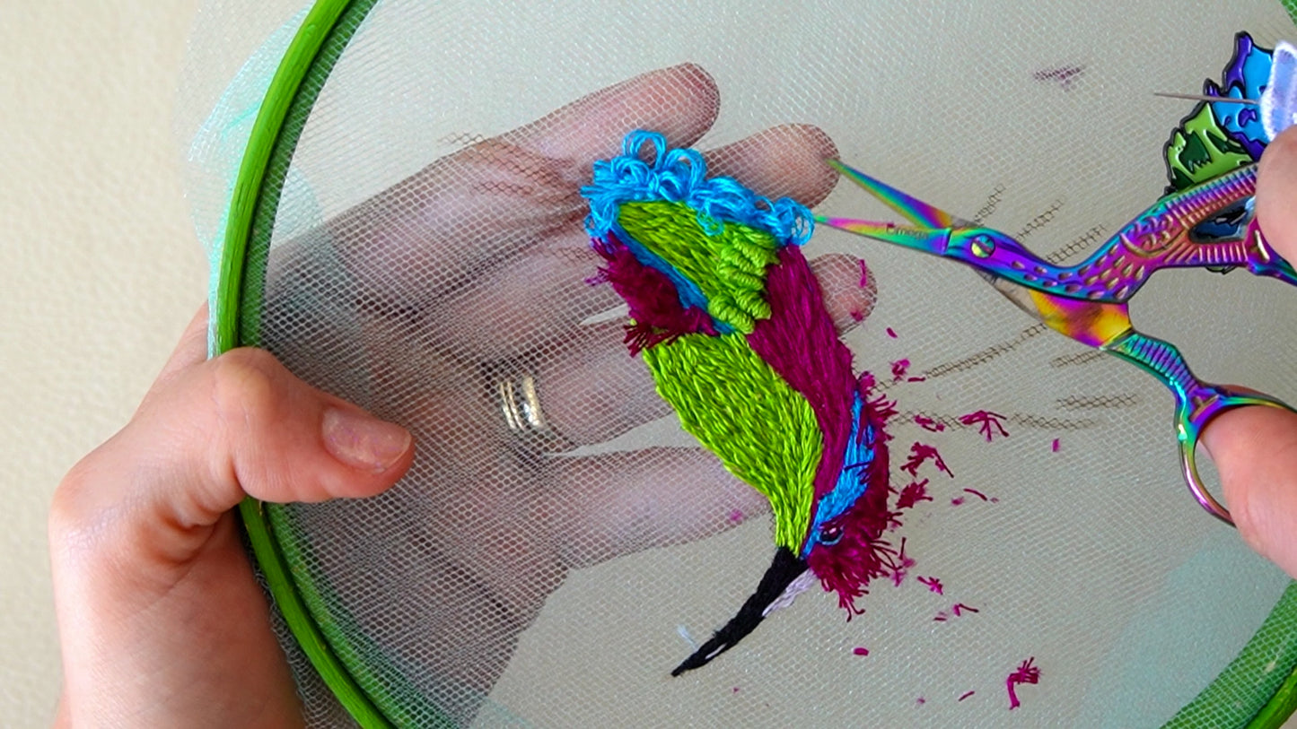 Colibrí | Aves de Poder