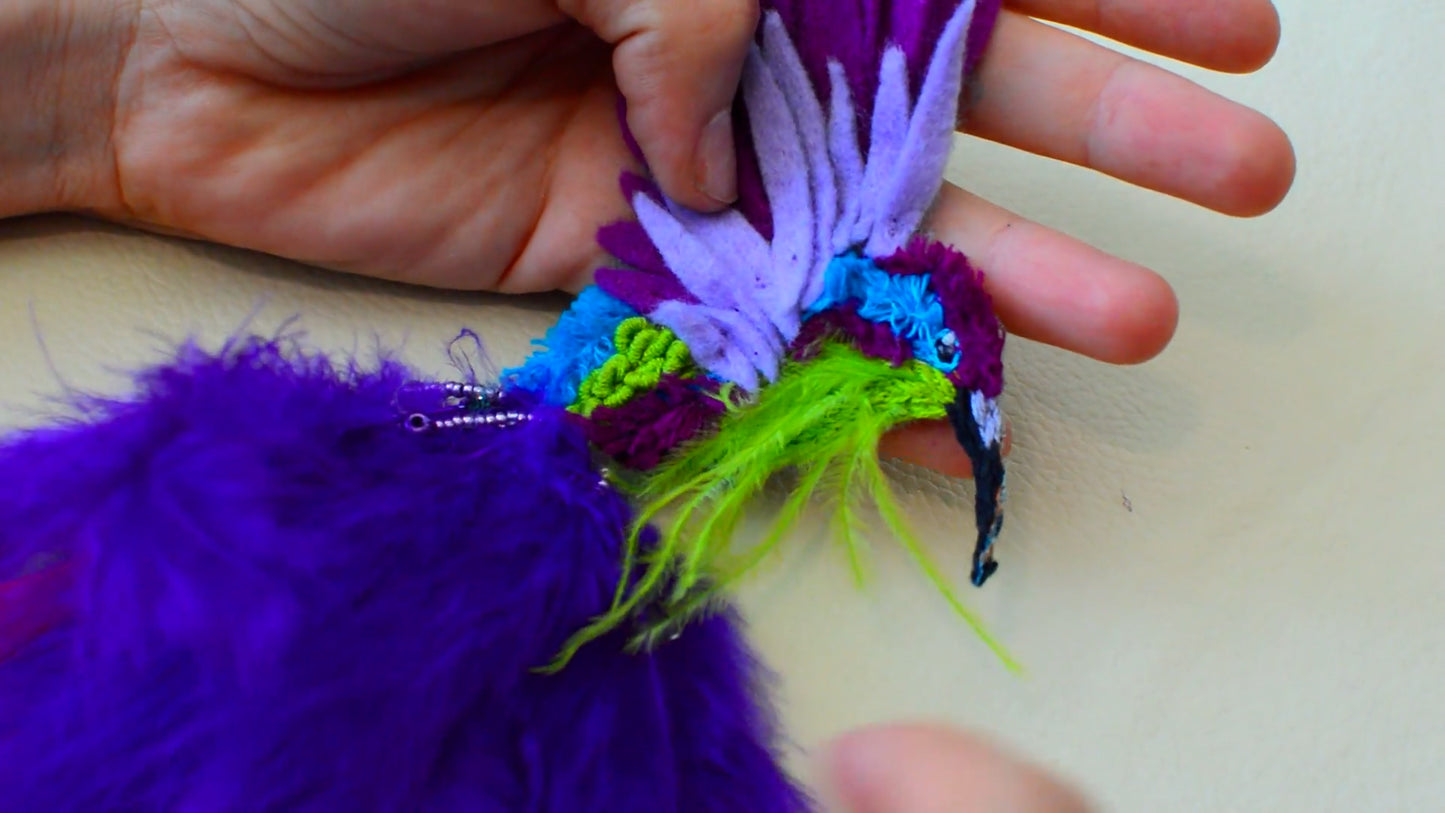 Colibrí | Aves de Poder