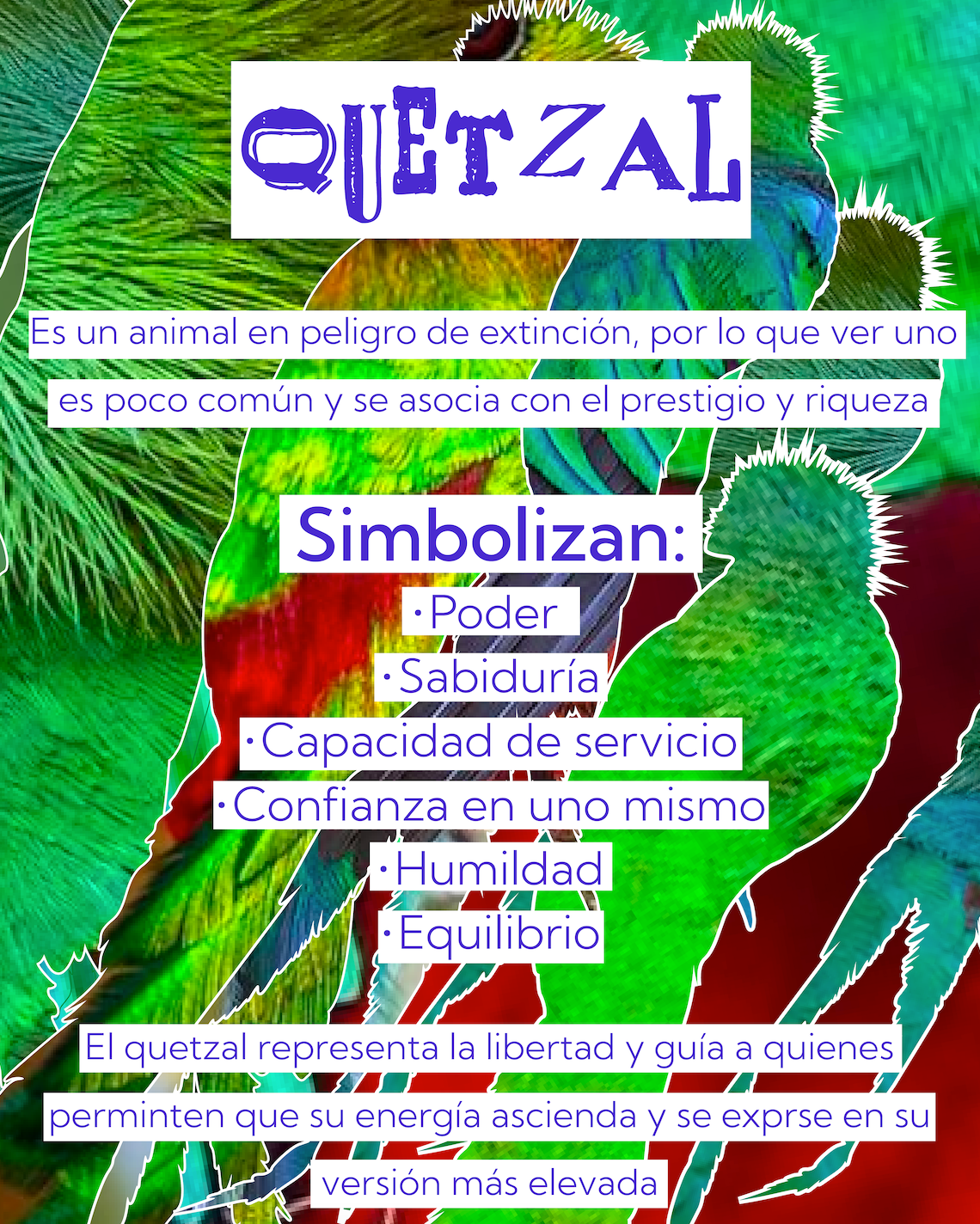 Quetzal | Aves de Poder
