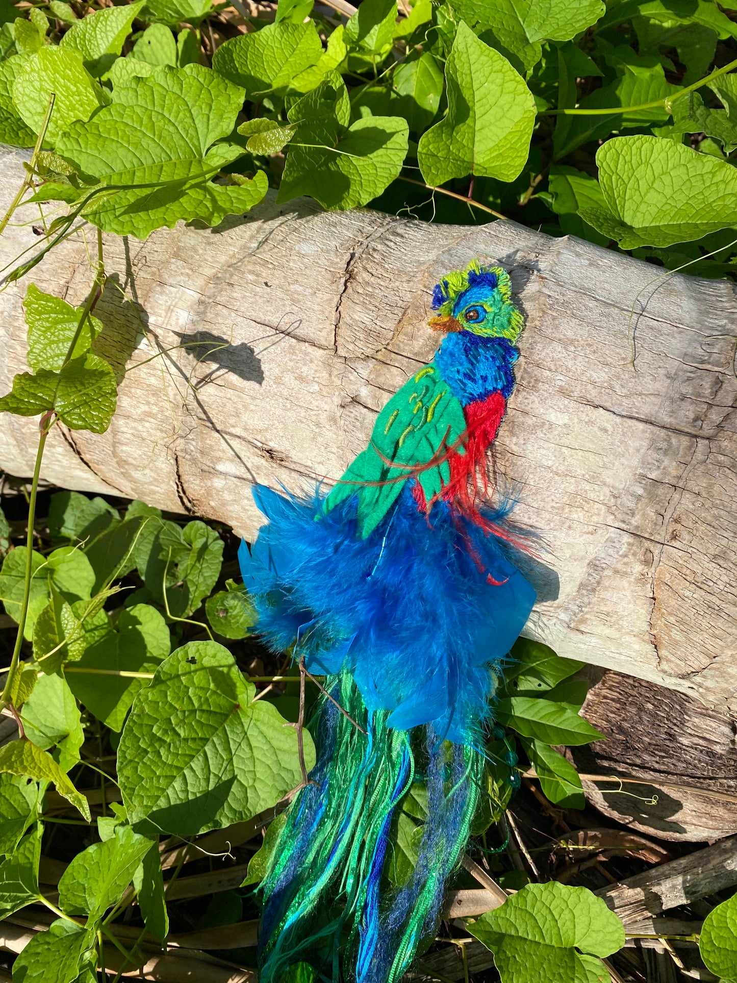 Quetzal Majestuoso